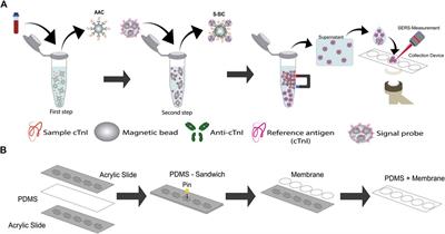 A review of cardiac troponin I detection by surface enhanced Raman spectroscopy: Under the spotlight of point-of-care testing